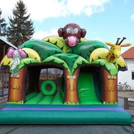 Fantastic 3D Artwork Children Inflatable Combo Funny Play And Slide Jungle Kingdom
