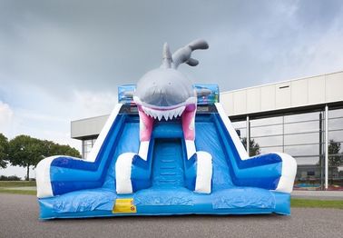Waterproof Haaien Cusom Inflatable Shark Slide Durable PVC Material