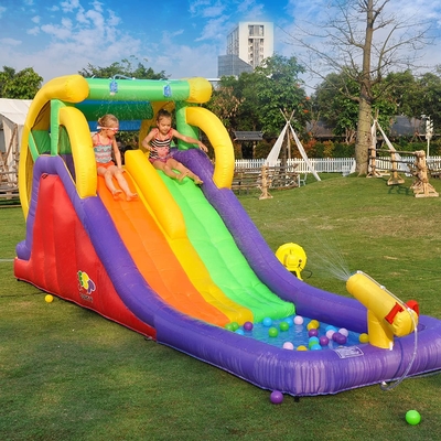 Cartoon 0.55mm PVC 16 Ft Inflatable Water Slides With Pool Dual Lane For Kids