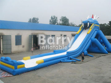 Professional Hippo Giant Inflatable Water Slide Customized Size With Water Pool