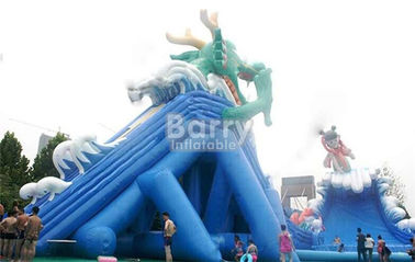 Customize PVC Adult Dragon Giant Inflatable Slide Blow Up Slip And Slide