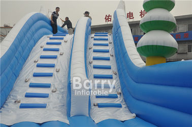 Customized Seals Tooth Inflatable  Summer Blow Up Water Slides