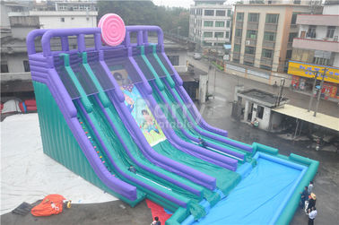 Cool 5 Lanes Giant Inflatable Water Slide With Big Pool / Adult Inflatable Games