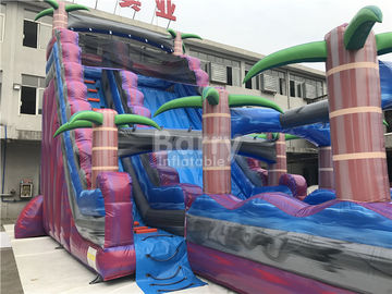 Purple Adult Kids Inflatable Water Slides With Pool , 