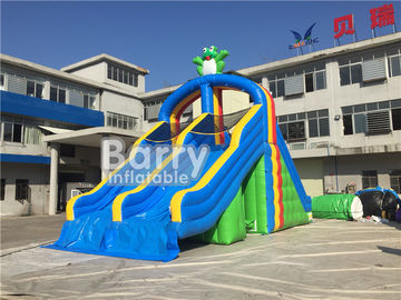 PVC Tarpaulin Double Lanes Inflatable Water Slides Frog For Swimming Pool