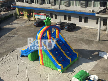 PVC Tarpaulin Double Lanes Inflatable Water Slides Frog For Swimming Pool