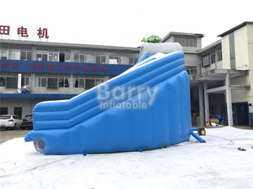 Cool Splash Fun Inflatable Pool Slide , Realistic Shape Tortoise Water Slide For Inground Pools