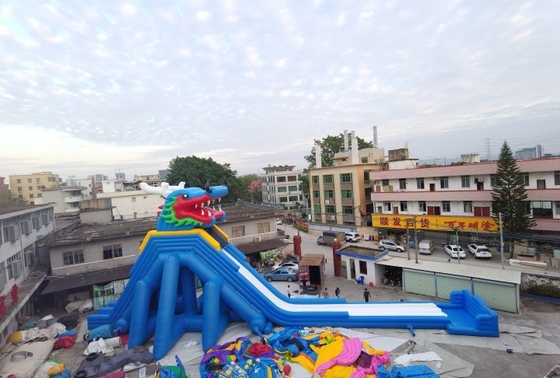 Dragon Inflatable Water Slides Adult Amusement Park Super Slide