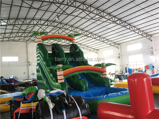 Custom Made 0.55mm PVC Inflatable Water Slides For Childre 14 Years Age