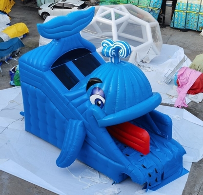 Commercial Inflatable Water Slides Whale Design Home Backyard