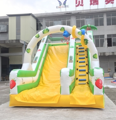 Waterproof Kids Playground Blow Up Water Slides Animal And Fruit Theme