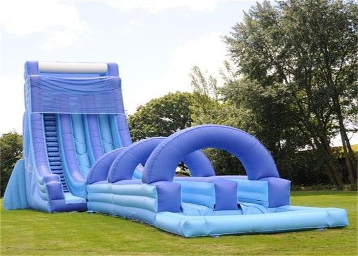 Adult Inflatable Water Slides 65
