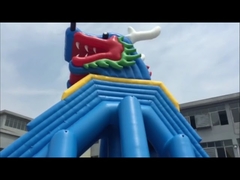 Adult Inflatable Water Slide Durable Long Giant Outdoor 60*15*12m