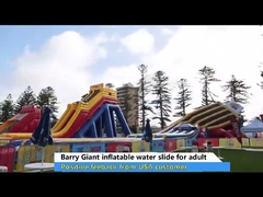 OEM ODM Four Lanes Giant Inflatable Slide / PVC Water Slide With Big Pool For Adults