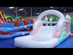 Inflatable Wedding Bouncer slide Combo Jumping Castle Slide