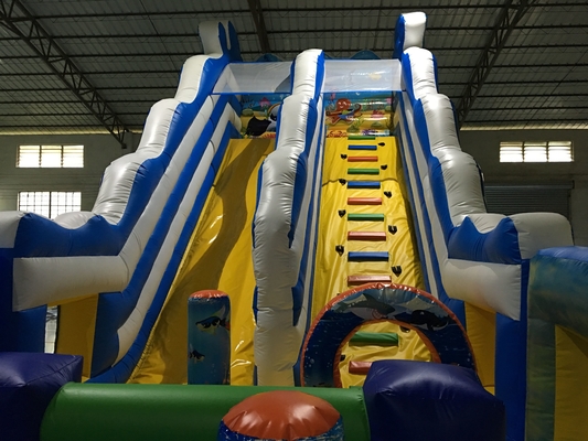 Digital Printing Commercial Inflatable Slide Jumping Castle Slide Bounce House