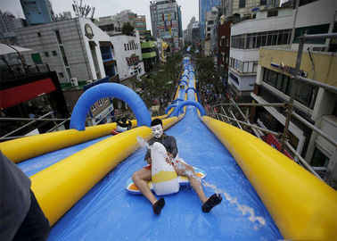 Custom Blue Giant Inflatable Water Slide City Street Event Long Life Span