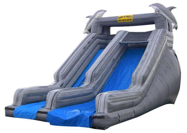 Double Slide Way Commercial Inflatable Slide Gray PVC Outside