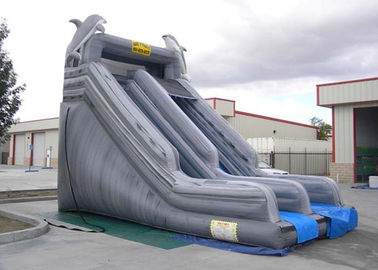 Double Slide Way Commercial Inflatable Slide Gray PVC Outside