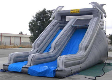 Double Slide Way Commercial Inflatable Slide Gray PVC Outside