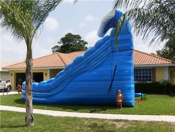Blue Huge Inflatable Whale Water Slide Comercial Dual Lane For Kids
