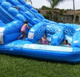 Blue Huge Inflatable Whale Water Slide Comercial Dual Lane For Kids