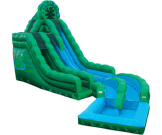 Emerald Green Frog Fun Water Slides , Inflatable Double Rush Slip Wet Slide