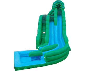 Emerald Green Frog Fun Water Slides , Inflatable Double Rush Slip Wet Slide