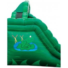 Emerald Green Frog Fun Water Slides , Inflatable Double Rush Slip Wet Slide