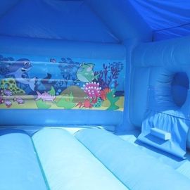 Blue Sea World Inflatable Bouncing House Frozen For Kids Party