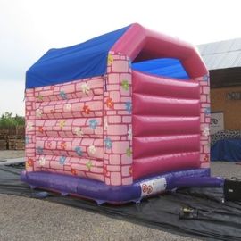 Pink Waterproof Princess Combo Bounce House With Single Slide