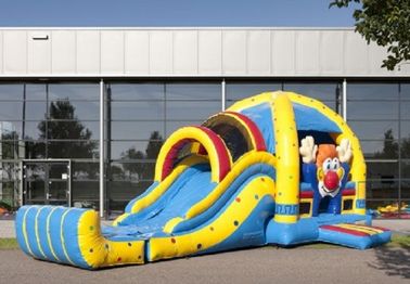 Commercial Clown Lovely Inflatable Combo With Slide And Pool