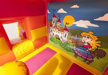 Comercial Inflatable Combo With Mini Dry Slide / Princess Print Moonwalk Bounce House