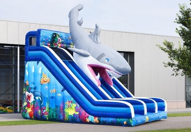 Waterproof Haaien Cusom Inflatable Shark Slide Durable PVC Material