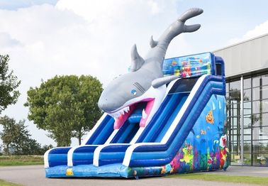 Waterproof Haaien Cusom Inflatable Shark Slide Durable PVC Material