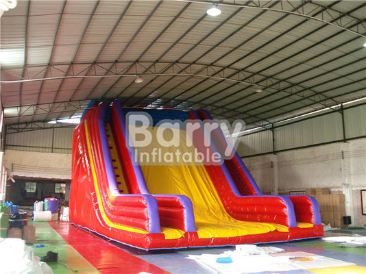 0.55mm PVC Customize Inflatable Water Slides Cartoon Theme Large Amusement Park