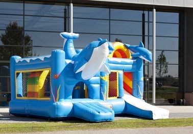 Famous Blue Dolphin Party Castle Bounce House Durable PVC Material