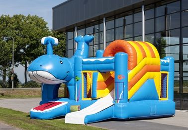 Whale Inflatable Combo