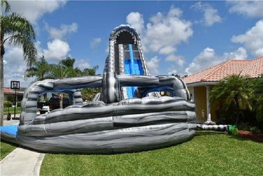Customized Garden Dual Lane Inflatable Water Slides Pool For Fun