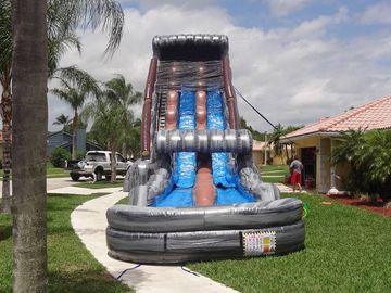 Amusement Park 30 FT 2 Lane Inflatable Water Slides Custom PVC Waterproof
