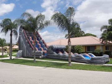 Amusement Park 30 FT 2 Lane Inflatable Water Slides Custom PVC Waterproof