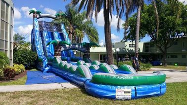 Blue Jungle Theme Large Double Lane Water Slide With Big Pool