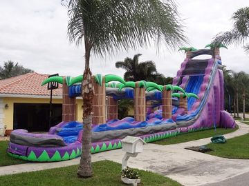 Purple Paradise Inflatable Water Slides With Pool / Adult Inflatable Wet Slide