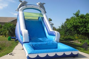 Play Inflatable Water Slides For Kids / Dolphin Inflatable Pool Water Slide