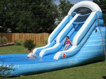 Play Inflatable Water Slides For Kids / Dolphin Inflatable Pool Water Slide