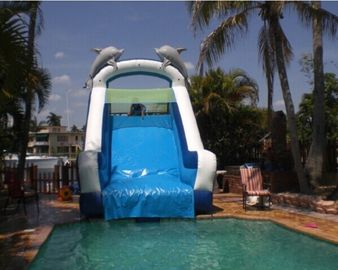 Play Inflatable Water Slides For Kids / Dolphin Inflatable Pool Water Slide