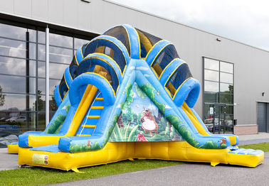 Double Lane Valcano Jungle Large Inflatable Slides With Climb