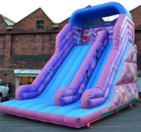 30ft Princess Inflatable Dry Slide , Faires Slide Purple Giant Bouncy Slide