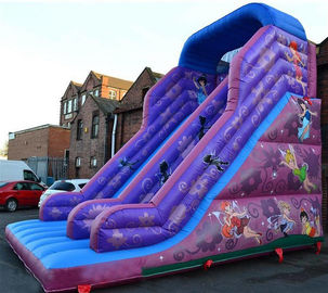 30ft Princess Inflatable Dry Slide , Faires Slide Purple Giant Bouncy Slide