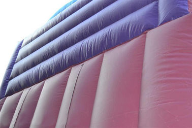 30ft Princess Inflatable Dry Slide , Faires Slide Purple Giant Bouncy Slide